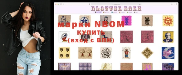 прущий лед Алзамай