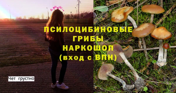 марки nbome Алексеевка