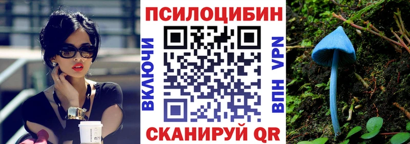 Псилоцибиновые грибы GOLDEN TEACHER  Ржев 